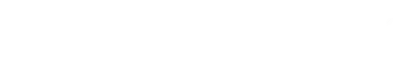 Florida Bulk Açaí